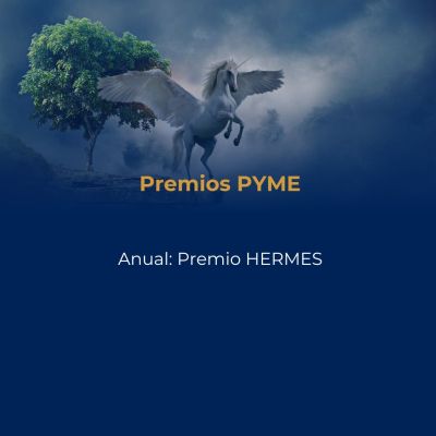 Premios Pyme 2025